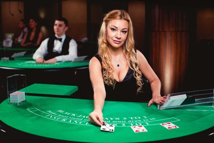 bajibet Live Casino
